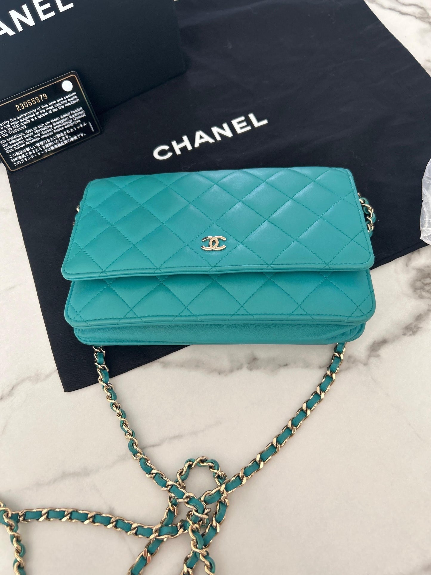 Chanel Classic Wallet On Chain in Teal Quilted  Lamskin Leather